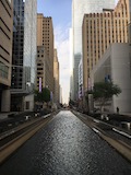 Texas holiday photo 2024