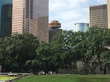 Texas holiday photo 2024