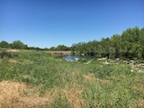 Texas holiday photo 2024