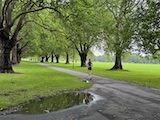 New Zealand 2026 holiday photo