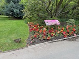 New Zealand 2026 holiday photo
