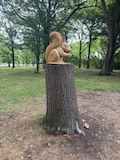 New Zealand 2026 holiday photo