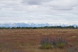 New Zealand 2026 holiday photo