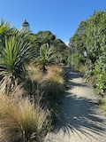 New Zealand 2026 holiday photo