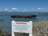New Zealand 2026 holiday photo