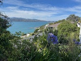 New Zealand 2026 holiday photo