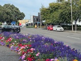 New Zealand 2026 holiday photo