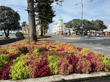 New Zealand 2026 holiday photo