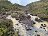New Zealand 2026 holiday photo