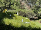 New Zealand 2026 holiday photo