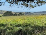 New Zealand 2026 holiday photo