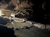 New Zealand 2026 holiday photo