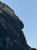 New Zealand 2026 holiday photo