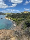 New Zealand 2026 holiday photo