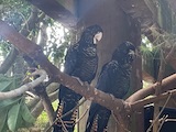 New Zealand 2026 holiday photo