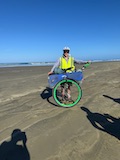 New Zealand 2026 holiday photo